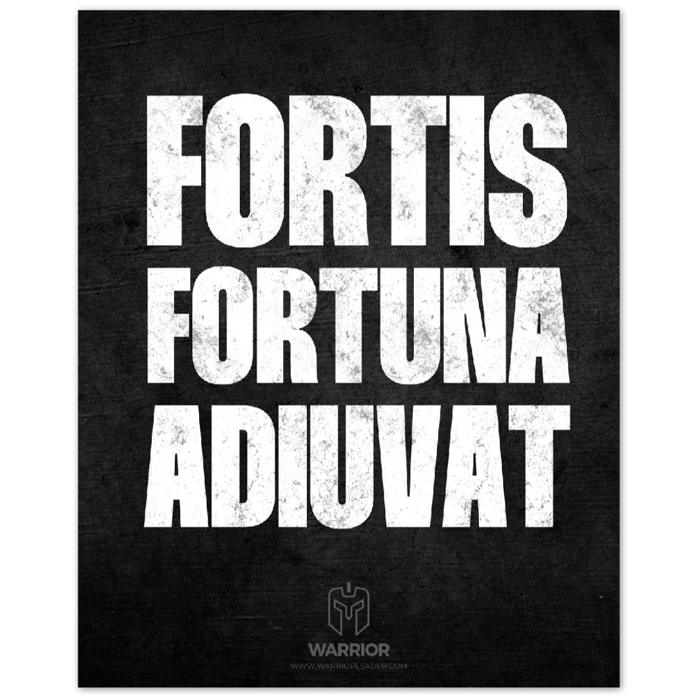 Fortis Fortuna Adiuvat Aluminum Print