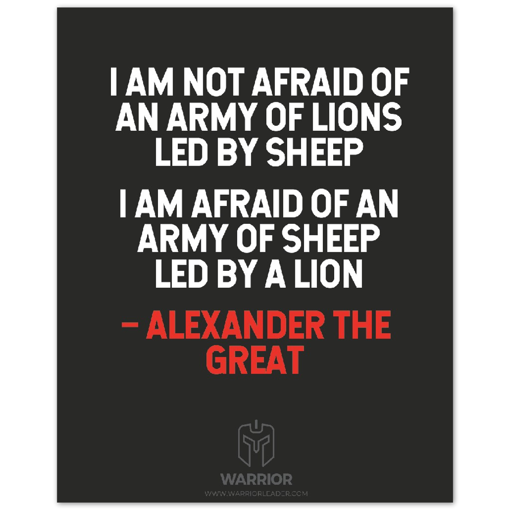 Warrior Head Alexander the Great Quotes Aluminum Print